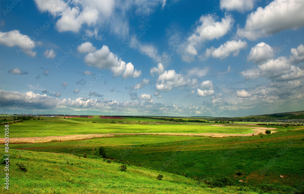 Fototapeta premium Meadow and blue sky.