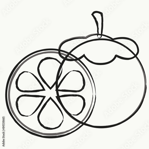  Fruit vector