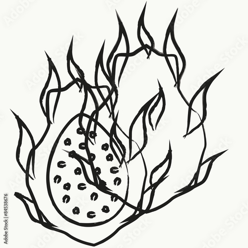  Fruit vector