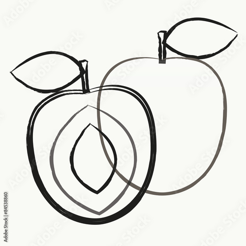  Fruit vector