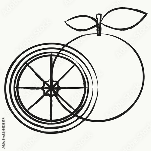  Fruit vector