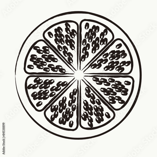  Fruit vector