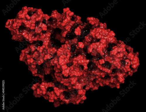 Plasminogen plasmin precursor protein.  photo