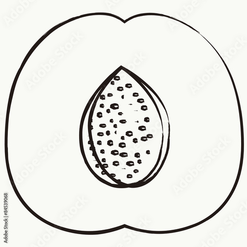 Fruit vector