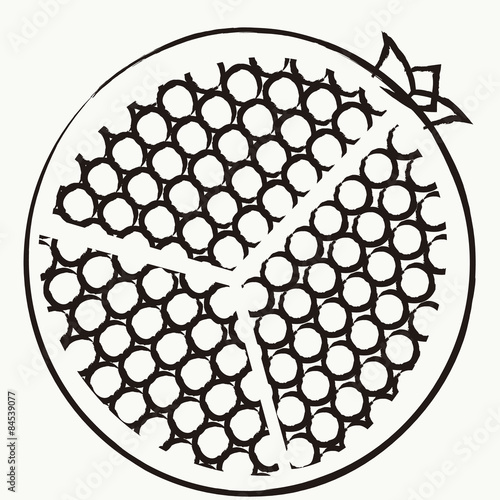 Fruit vector