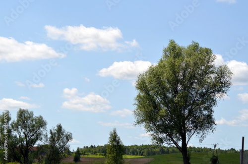 widok na Polskiej wsi 