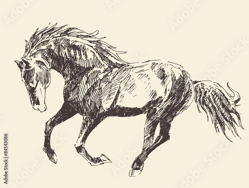 Horse Vintage Engraved Illustration, Hand Drawn