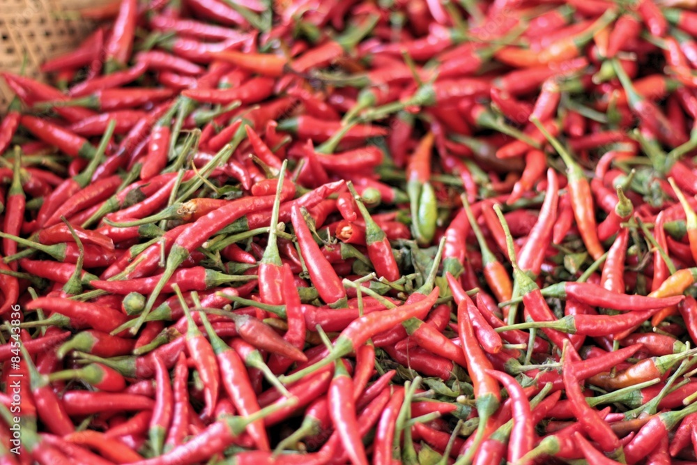 Fresh chili in the market Fresh chili in the market