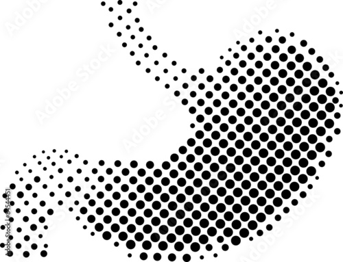 Stomach white background. Vector