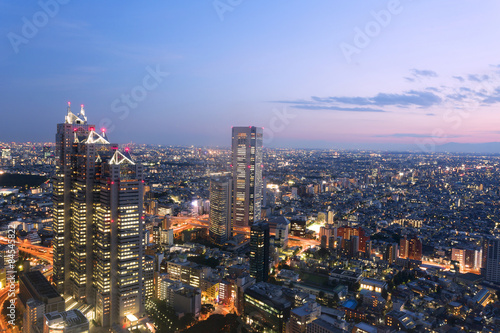 新宿高層ビルから望む　東京街並全景　世田谷　渋谷　横浜方面
