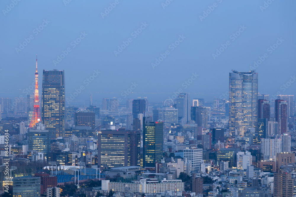 Obraz premium 東京都市風景 新宿高層ビル街から望む東京タワーと東京都心全景 望遠