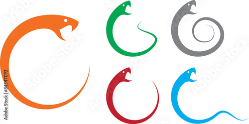 Vector illustration of snake, silhouette, logo, icon, colorful
