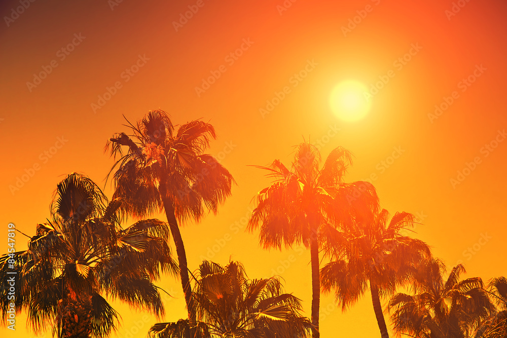 Obraz premium Orange sunset over palm trees