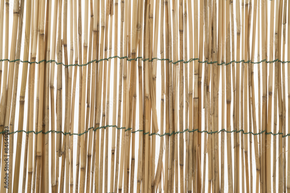 bamboo background bamboo background