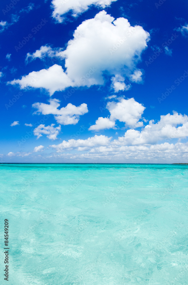 Fototapeta premium morze