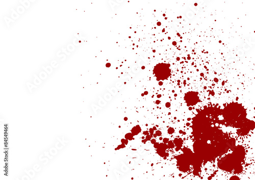 dark red splash on white background. Vector illustration. Grunge