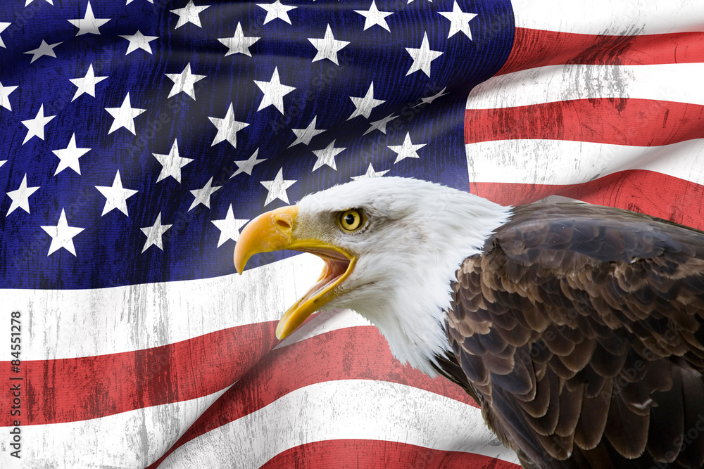 Fototapeta premium Bald eagle and USA flag