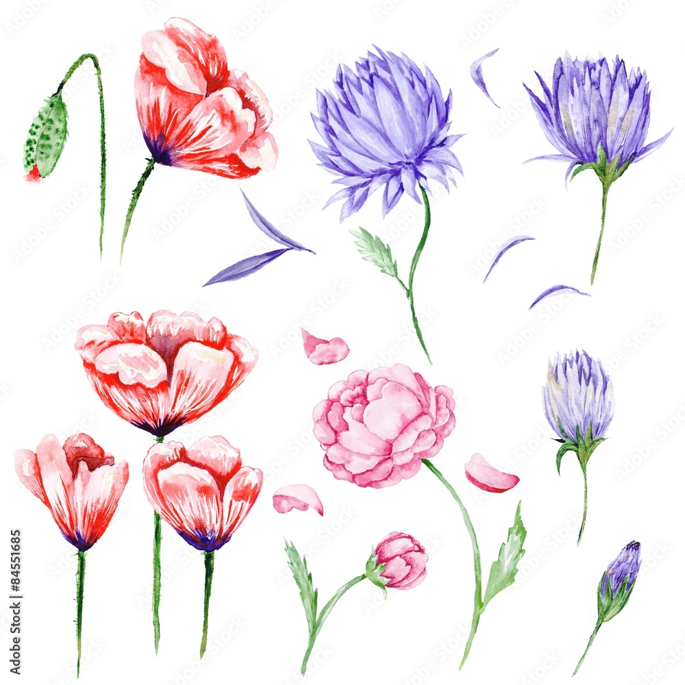 Large Set of Watercolor Flowers