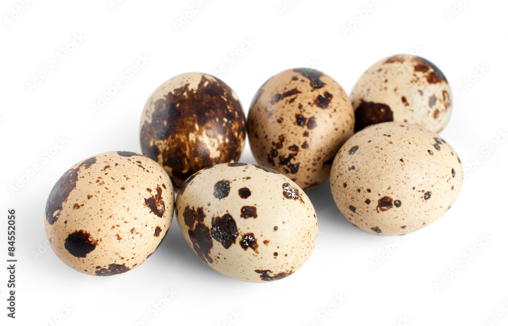 Quail eggs isolated on white background Quail eggs isolated on white background