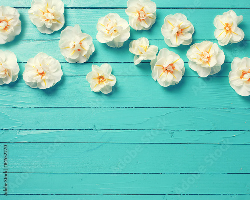 Fototapeta Naklejka Na Ścianę i Meble -  Narcissus flowers on green background