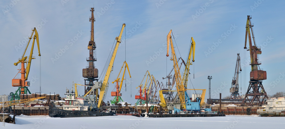 Panorama of port cranes. Russian. City landscape