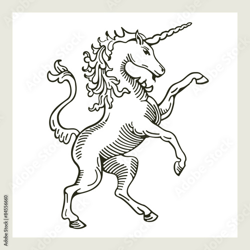Rampant Unicorn A illustration of a rampant 