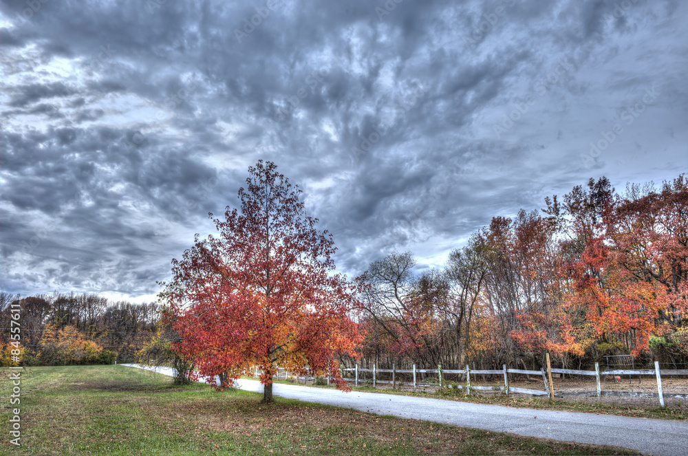 A backroad in the rural countryside of Maryland during Autumn A backroad in the rural countryside of Maryland during Autumn