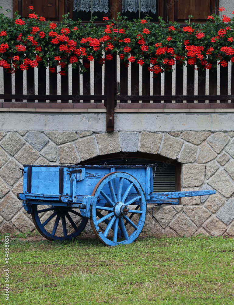 blue wooden cart with the geranium in the farm