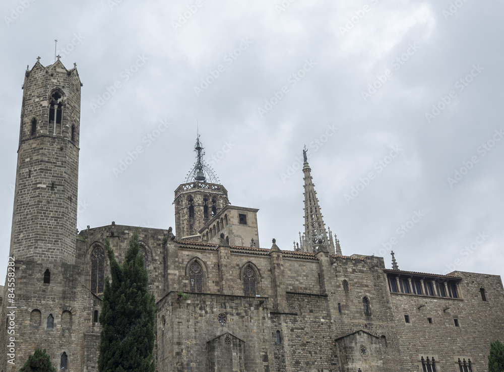 The Cathedral of the Holy Cross and Saint Eulalia, Barcelona, Spain