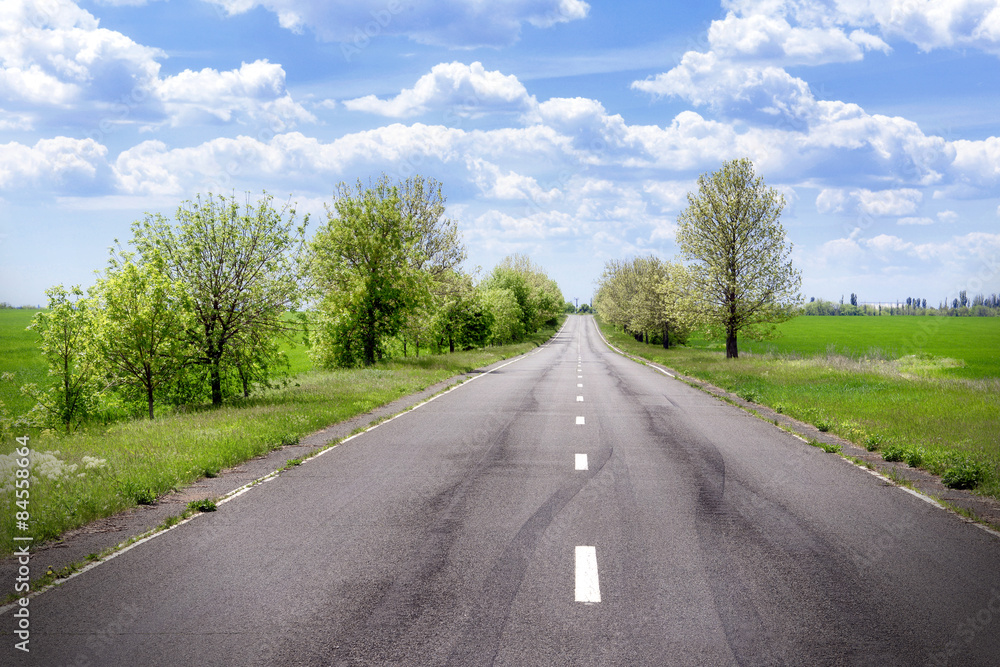 Fototapeta premium Asphalt road through the green field in spring day