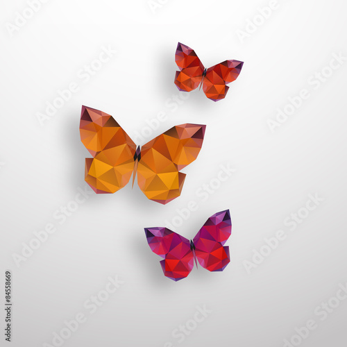 Illustration of polygonal butterfly