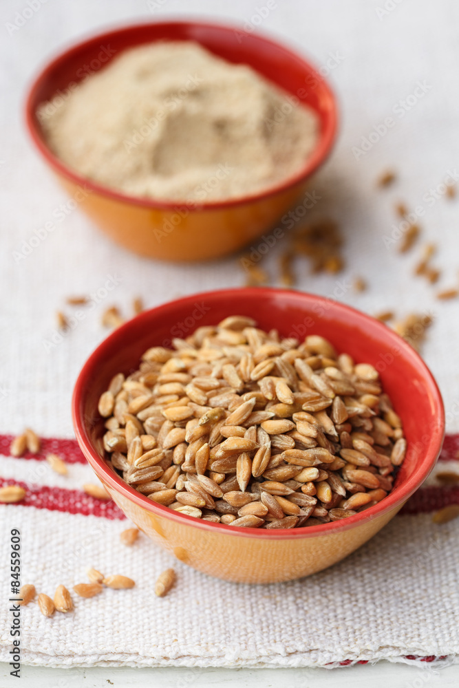 Spelt grains and flour in bowls Spelt grains and flour in bowls