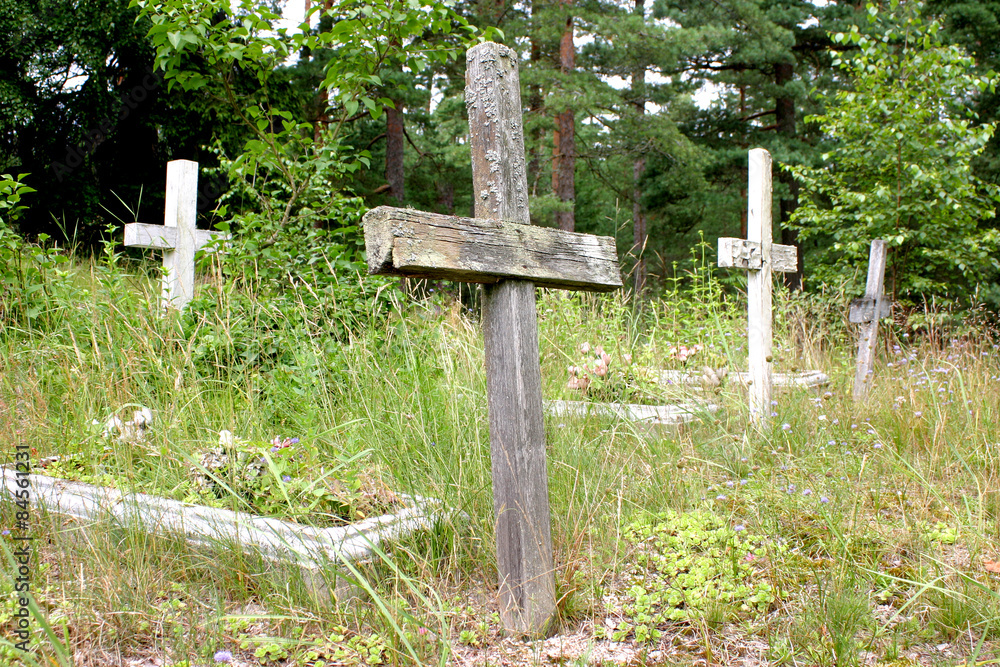 Naklejka premium Old rotten wooden crosses in abandoned cemetery 
