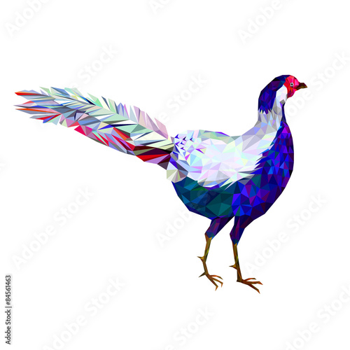 polygonal geometric illustration of an exotic bird. trendy poly style, vector pheasant. 