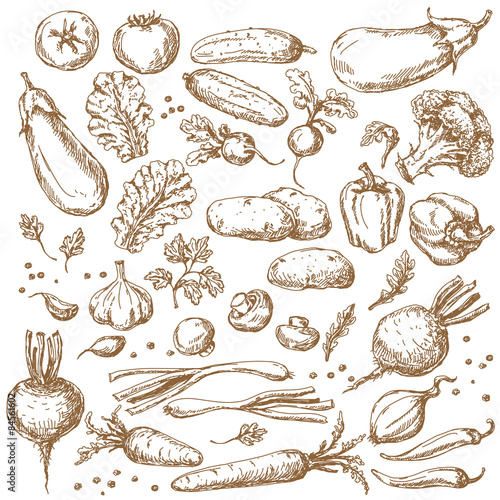 Sketch of Vegetables Set