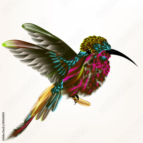 Vector illustration with realistic humming bird for design