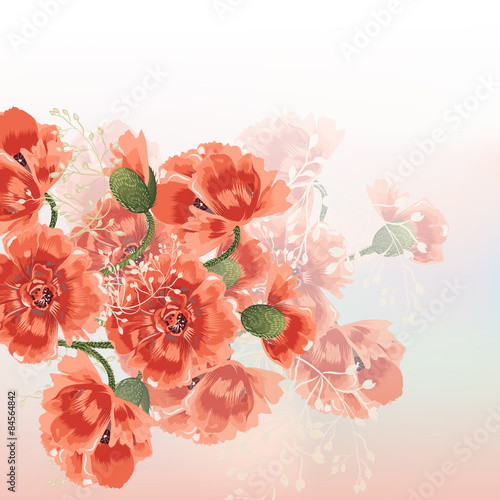 Floral vector background with red poppy flowers in soft morning