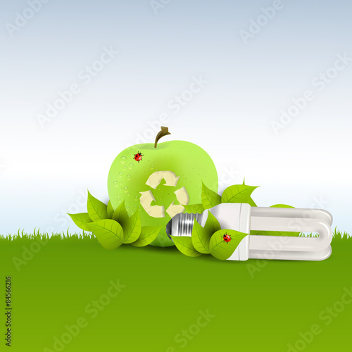 Eco Vector Still life. Eps 10