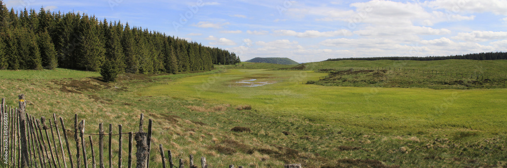 Obraz premium Tourbière de l'Estivadou en Auvergne