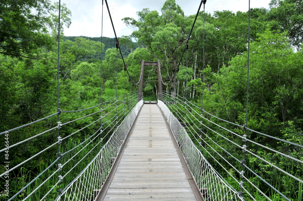 Obraz premium 夏の尾瀬ケ原ハイキング ヨッピ橋