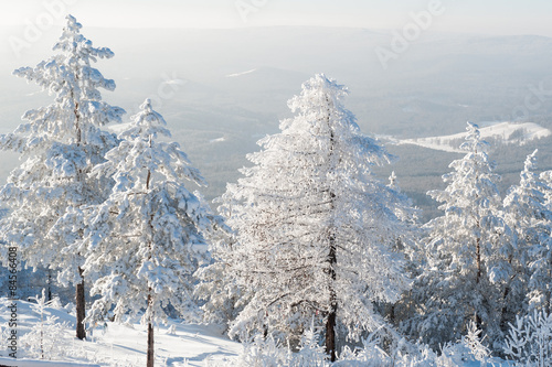Trees under snow (Abzakovo, Urals, Russia) © ilyaska