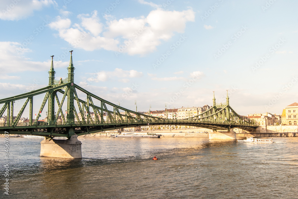 Obraz premium Liberty Bridge in Budapest