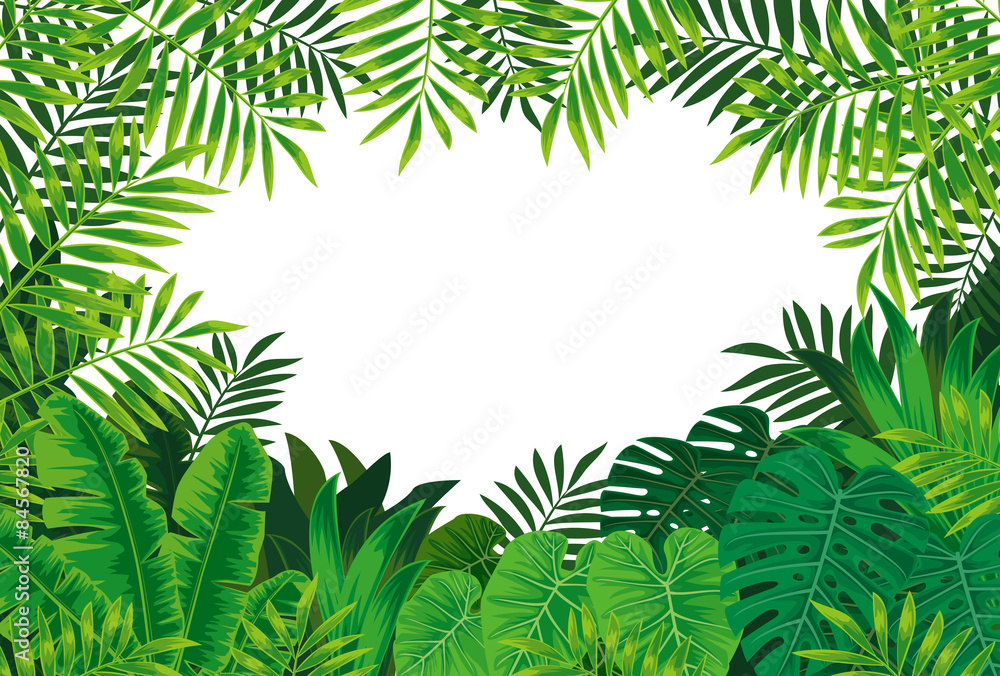 Naklejka premium 熱帯雨林
