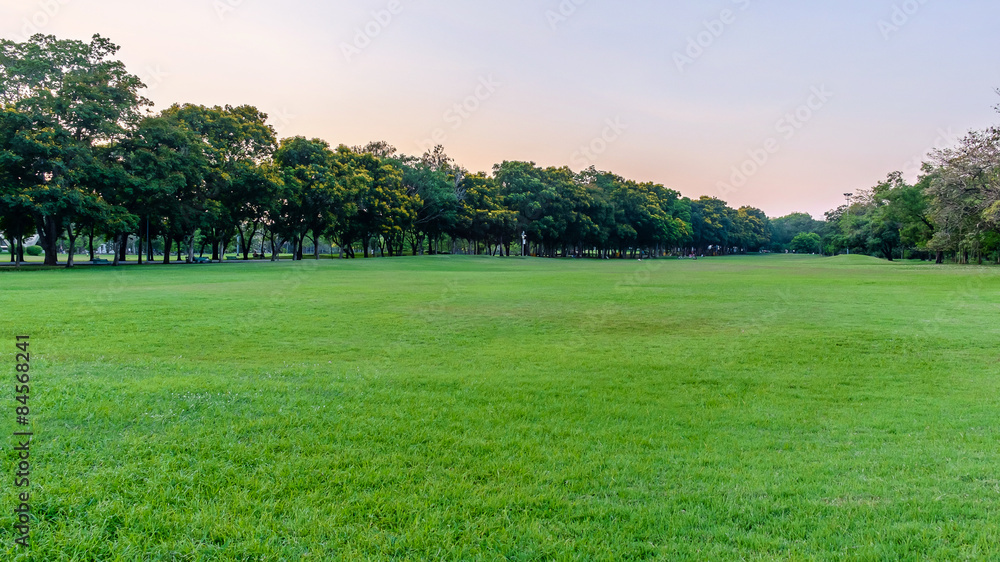 Public park Public park