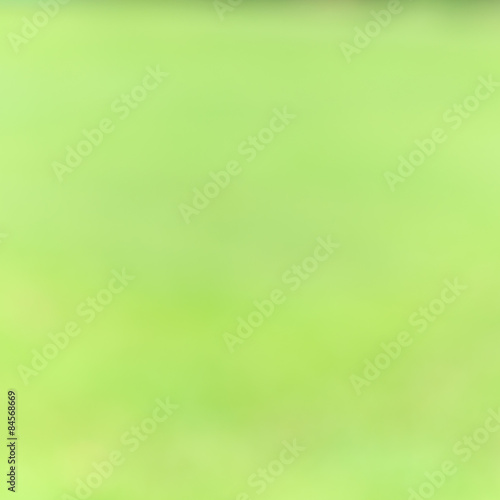 Green bush blurred background