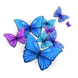 Vector butterflies background design. 