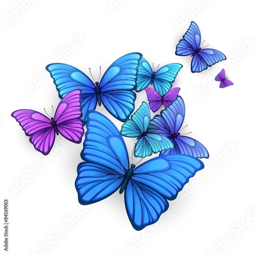 Vector butterflies background design.  © vik_y