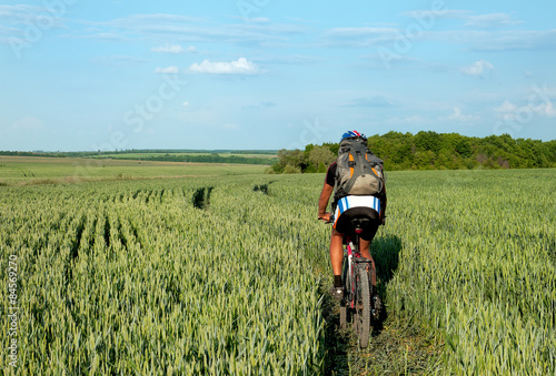 Cyclist riding on a field of green wheat
