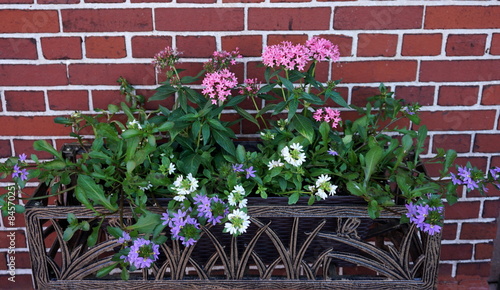 Sommerlicher Blumenschmuck