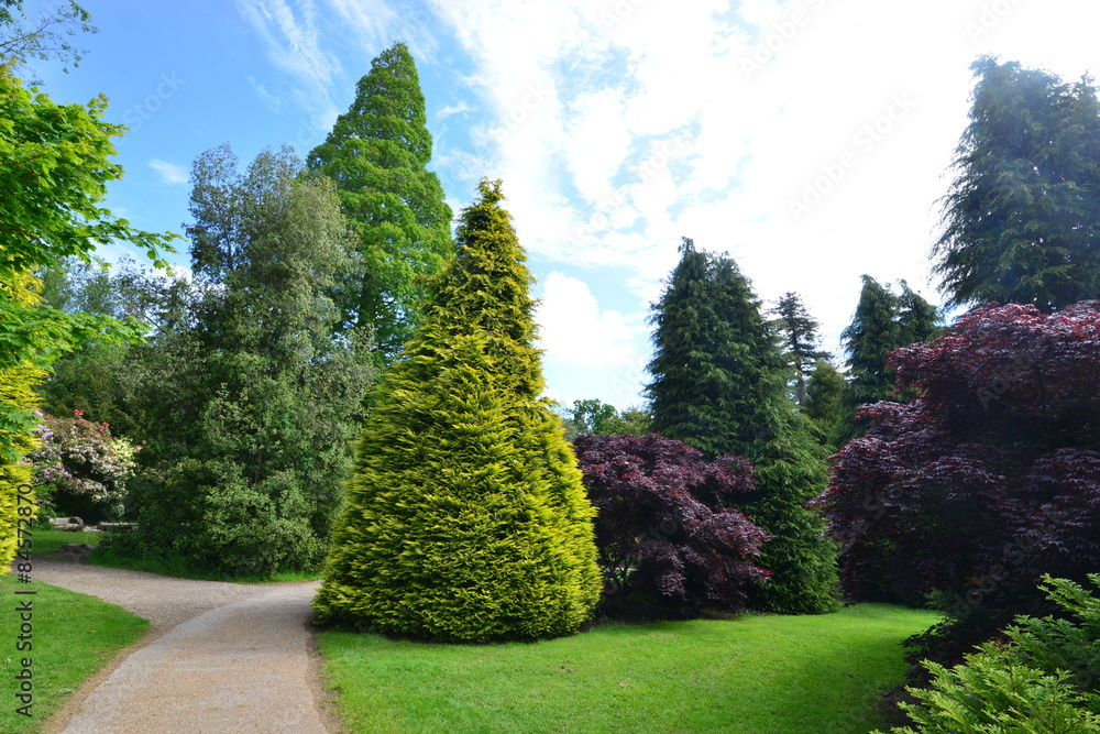 Obraz premium A garden estate in the England in June.